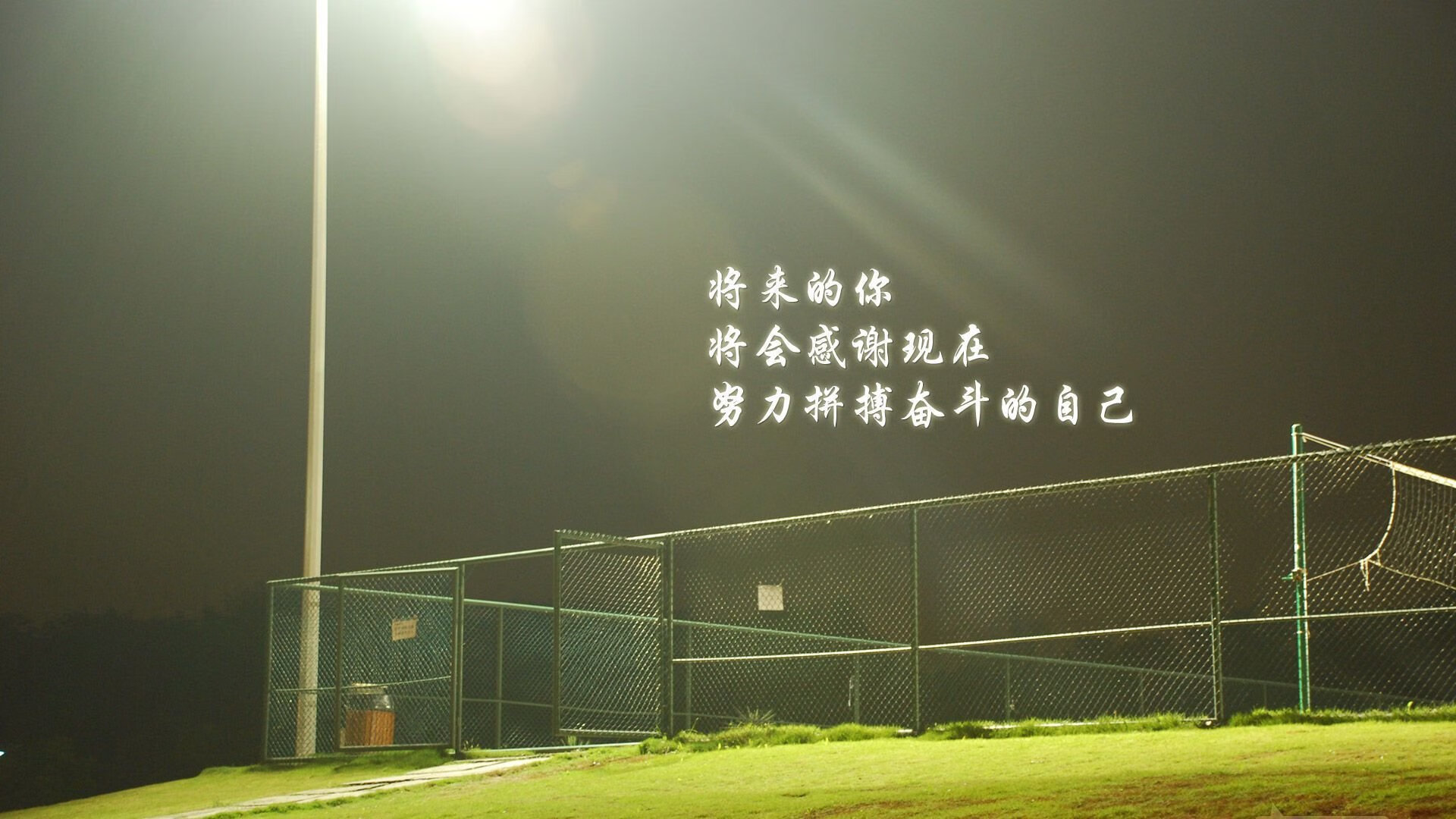 开云官方网站-传奇骑手列车表演，骑术展示精彩纷呈，骑士骑车视频