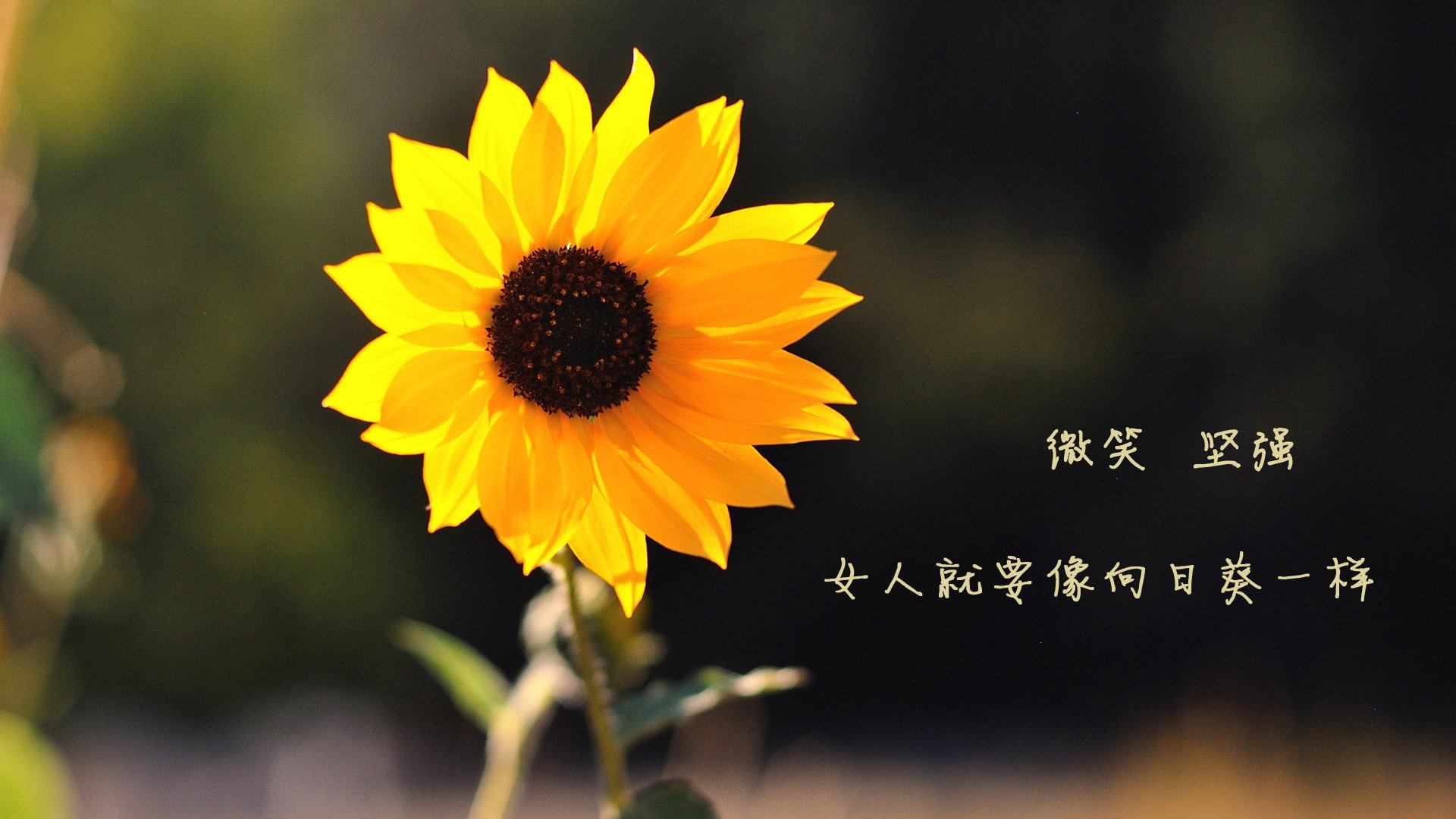 全面升级！青少年“篮球青训基地”在重庆正式投入使用，重庆青少年篮球比赛