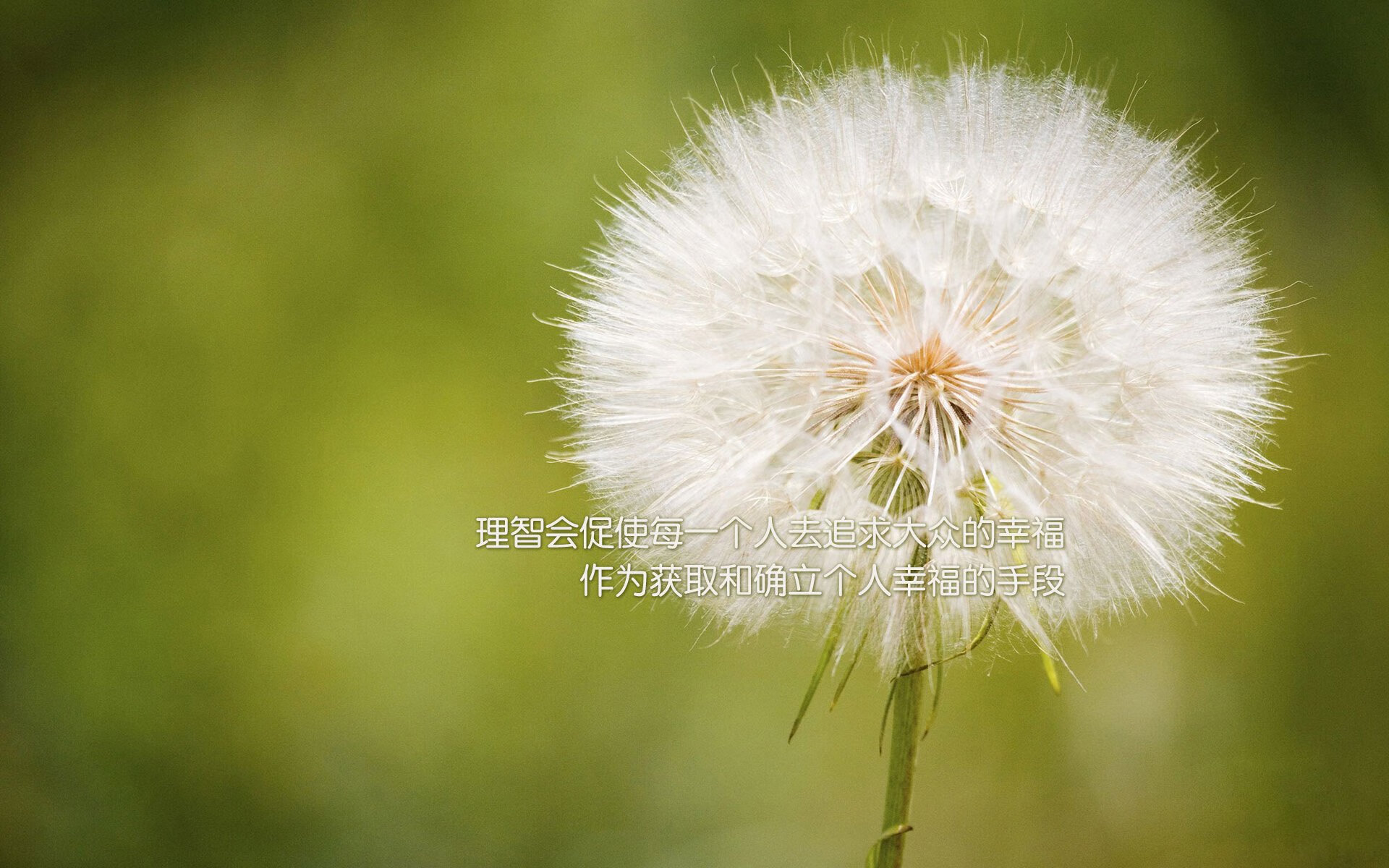 kaiyun体育app-生命中的篮球：运动员背后的故事与梦想，篮球运动员的盛宴