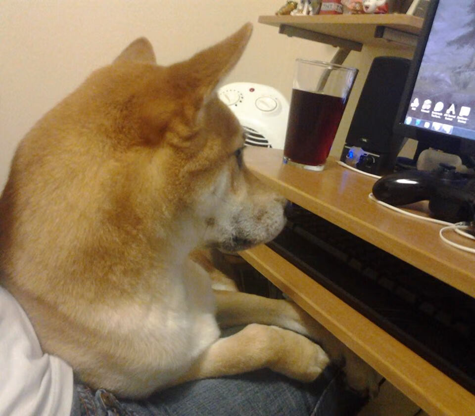 转会：皇马已签下一名欧洲顶级中场，未来可期，皇马球员欧洲杯