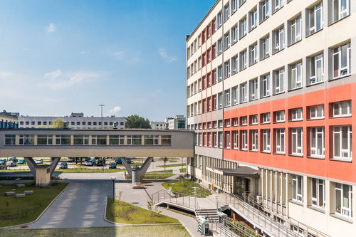 kaiyun网站-中国青少年篮球课程体系现代化建设，《中国青少年篮球训练教学大纲(2013版)》
