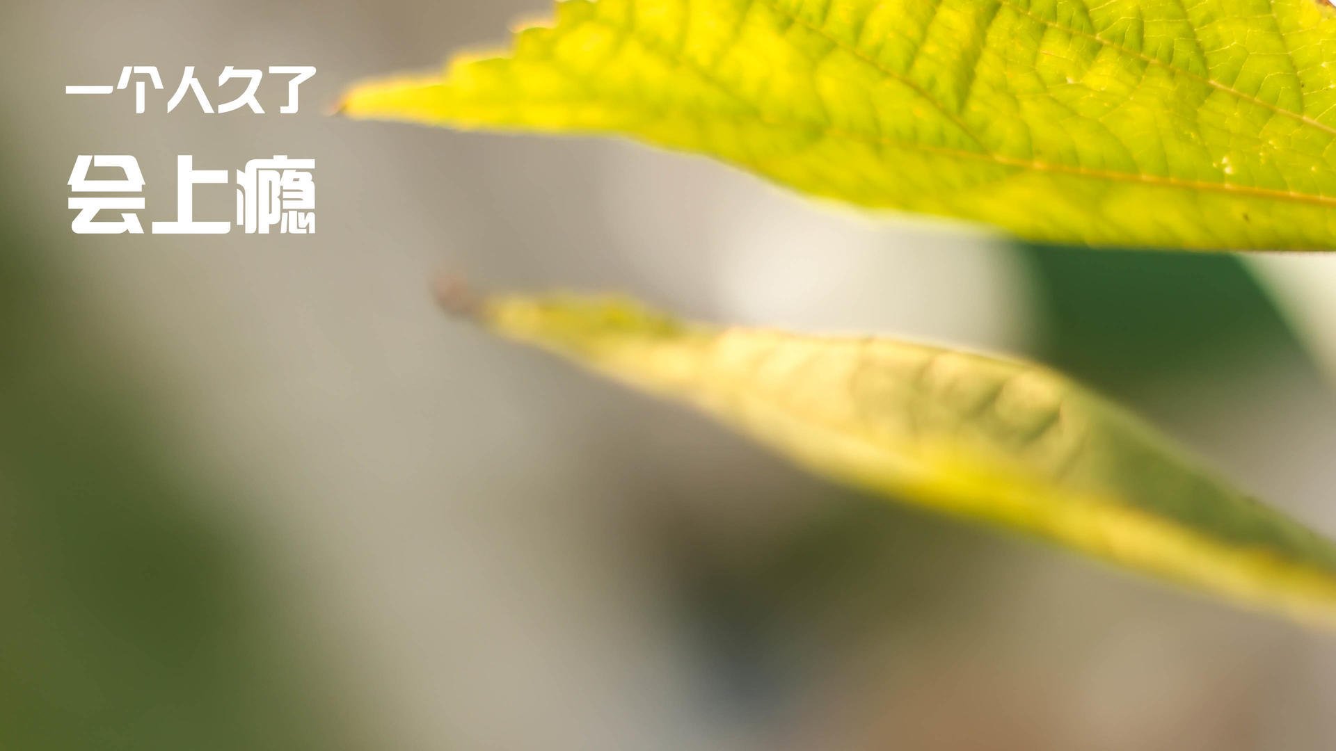 智慧健身系统应用效果调查，智慧健身中心看法