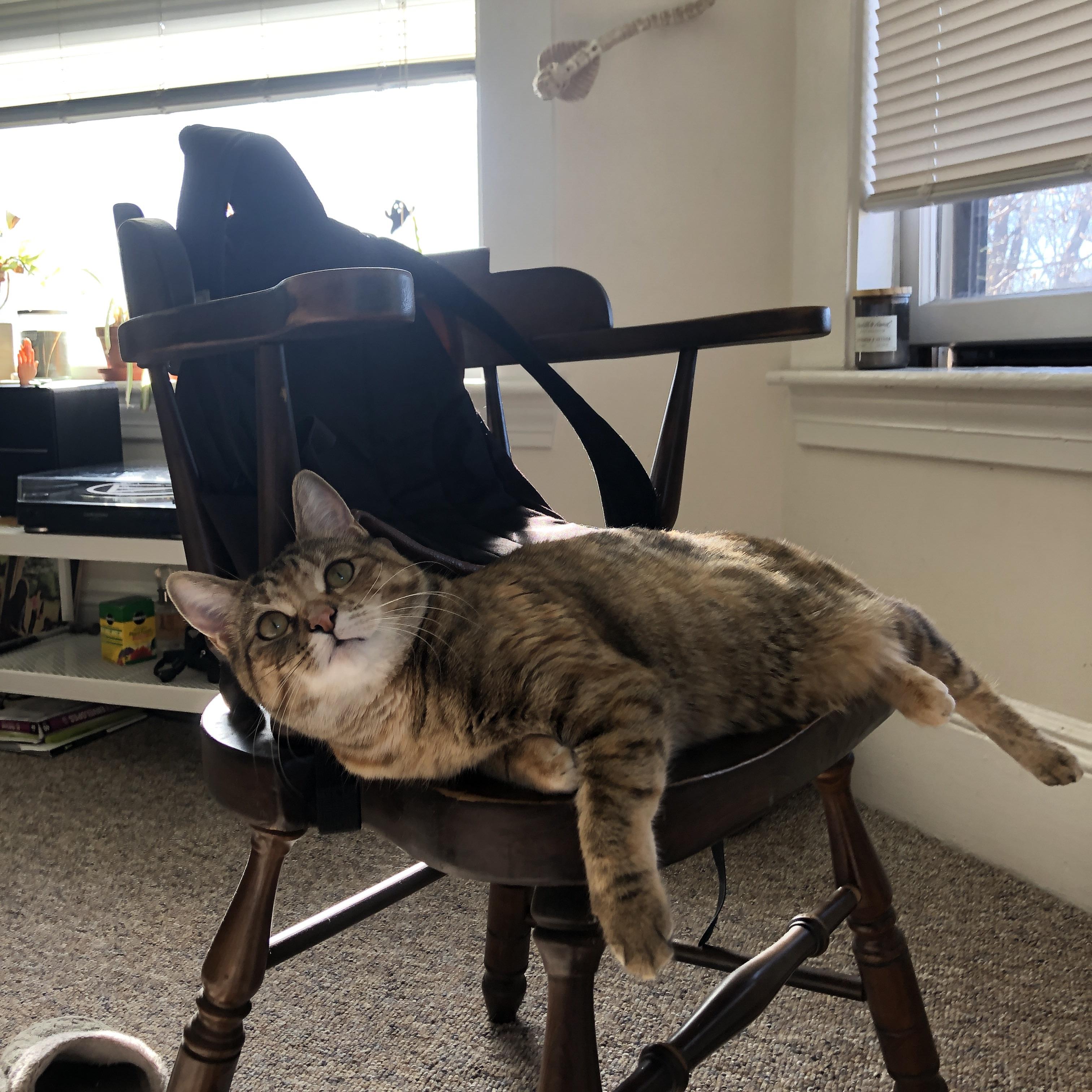 篮球专项体能训练周期管理技术，篮球项目体能训练计划