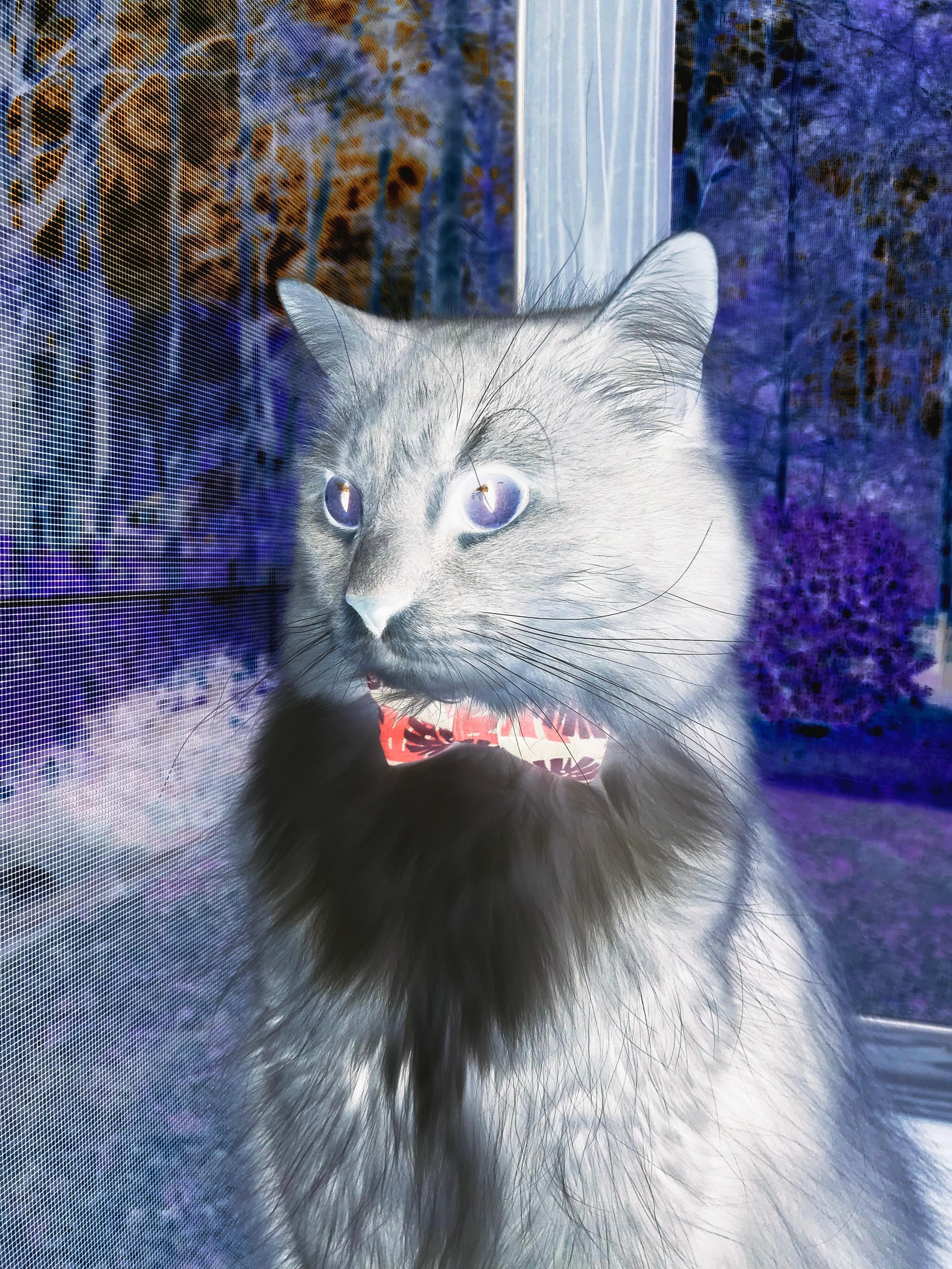 篮球运动员训练负荷监控系统设计与应用研究，篮球专项负荷设计与安排