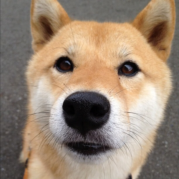 青少年足球教练员技能提升培训班全国开启，推动行业标准化，青少年足球培训营